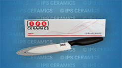 Technical Ceramics and Laboratory Research: Classic Materials Creating the Future IPS Ceramics