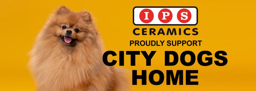 IPS Ceramics is Proud to Support City Dogs Home